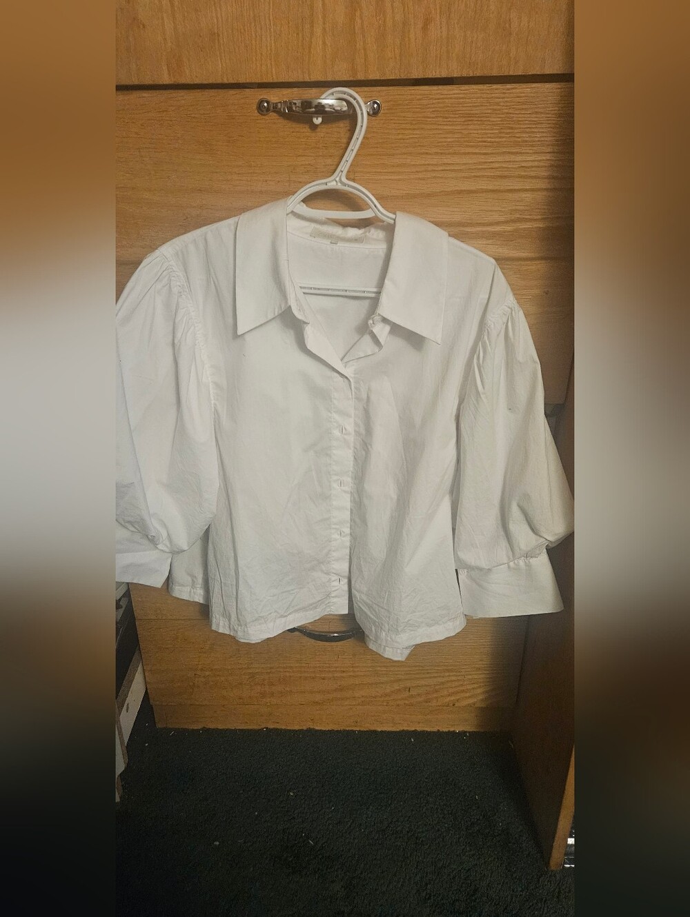 Zara White Puff Sleeve Button-Up Blouse